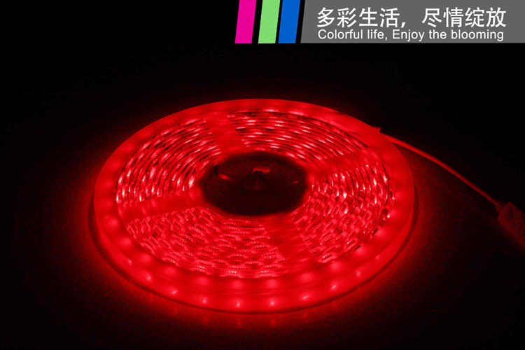 RGB Waterproof Strip LED